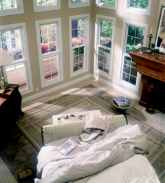 Aluminum Windows